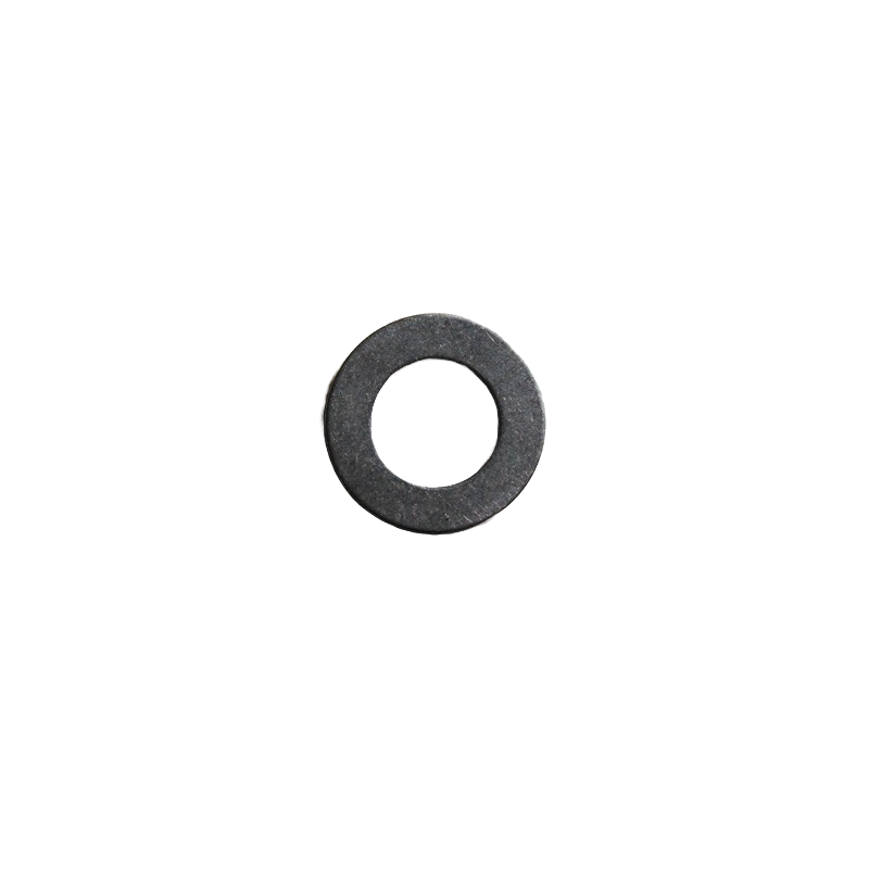STEEL WASHER FOR ENDURA 50/50+ MOTOR.