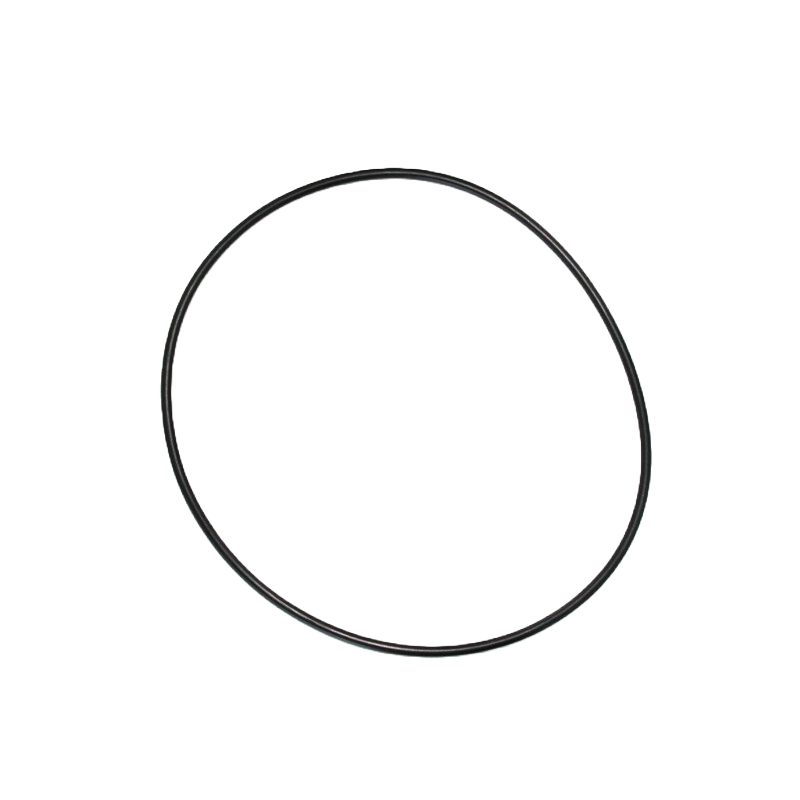 LARGE O-RING (GPRV 1.6)
