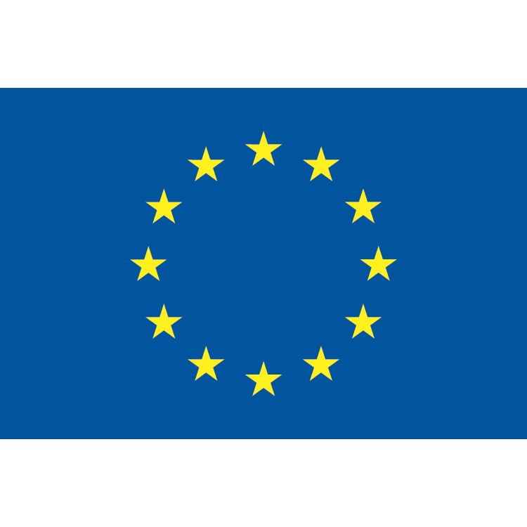 EUROPEAN FLAG