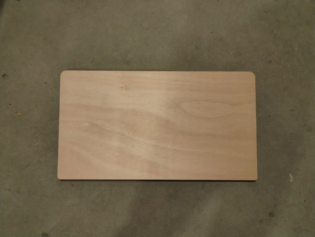 PLANCHE SUPPORT CHARGEUR (ACE 2)
