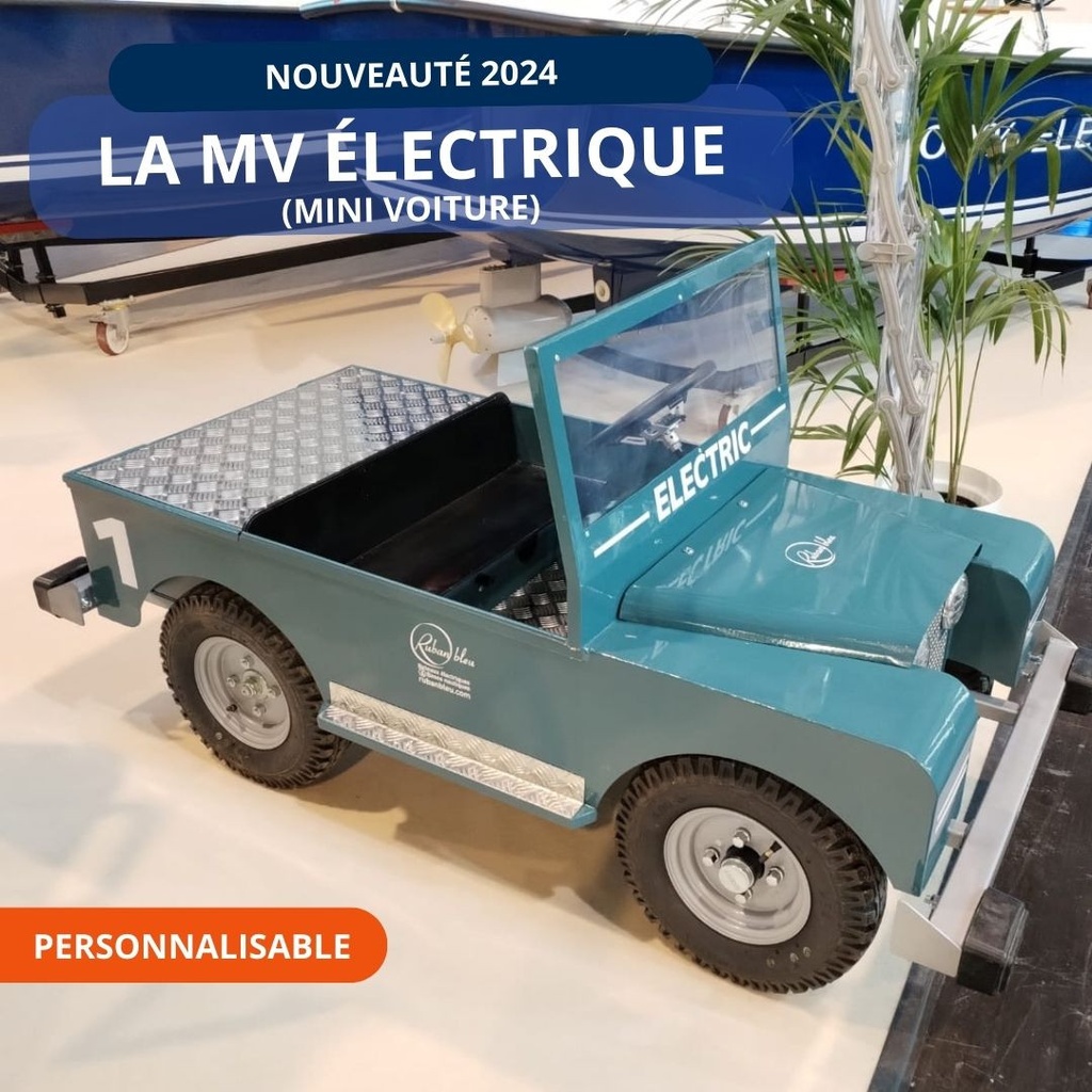 MV (MINI CAR) ELECTRIC