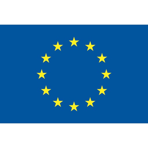 [B3550] EUROPEAN FLAG