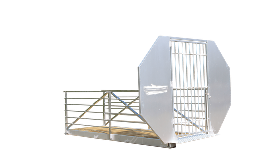 [B4008] RAMPE D'ACCES AVEC BEQUILLE ET JOUES DE PROTECTION