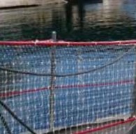 [B6455] FILET DE SÉCURITÉ PONTON